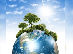 Atención exportadores: publican Reglamento de evaluación, control y seguimiento ambiental