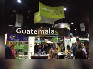 Delegaciones de empresarios posicionan productos y servicios guatemaltecos  a nivel internacional