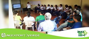 Centro educativo en proceso de certificación ambiental