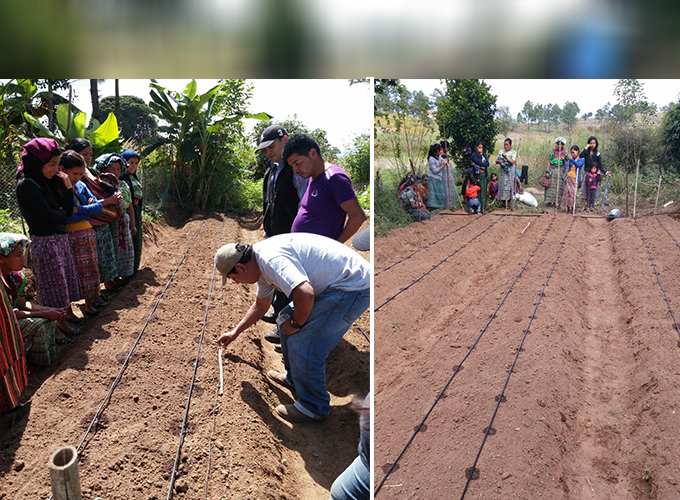 Familias rurales beneficiadas con acciones para la  productividad de cultivos para autoconsumo