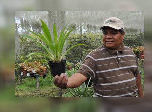 Plasticultura el avance tecnológico agrícola