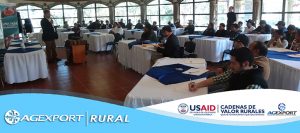 Red de Organizaciones Productoras de Café del Ixil comparten su experiencia contra la roya