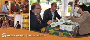 Nuevo Servicio AGEXPORT: Unidad de Gestión y Monitoreo de Negocios Internacionales