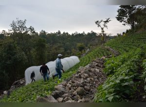 54 organizaciones de Occidente se benefician con Parcelas de adaptación al cambio climático