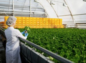 Inocuidad para productos de exportación en la industria de alimentos y bebidas