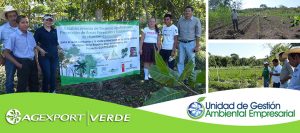 Comunidades de la Reserva de Biósfera Maya en Petén implementan Sistemas agroforestales