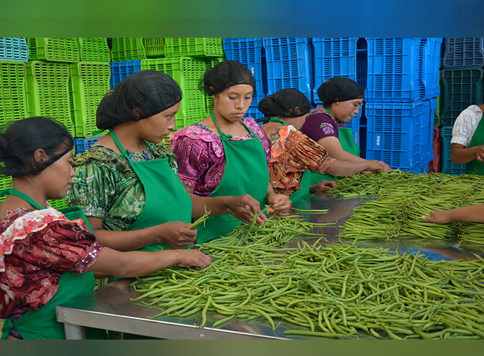 AGEXPORT desarrolla programas de inclusión y empoderamiento económico de las mujeres rurales