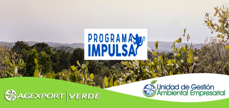 AGEXPORT invita a sus socios emprendedores a sumarse a IMPULSA