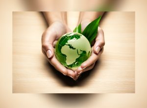 ¿Cómo realizar un estudio de impacto ambiental?