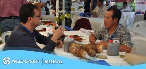 Productores agrícolas presentarán su oferta exportable en Agroencuentro en Xela