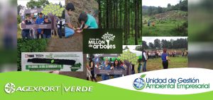 Colaboradores de AGEXPORT participan en el Día  del millón de árboles