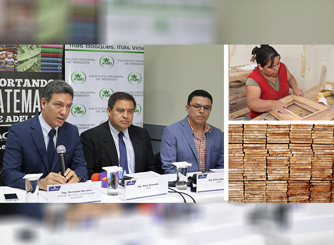 AGEXPORT, VUPE e INAB refuerzan control de exportación de maderas guatemaltecas