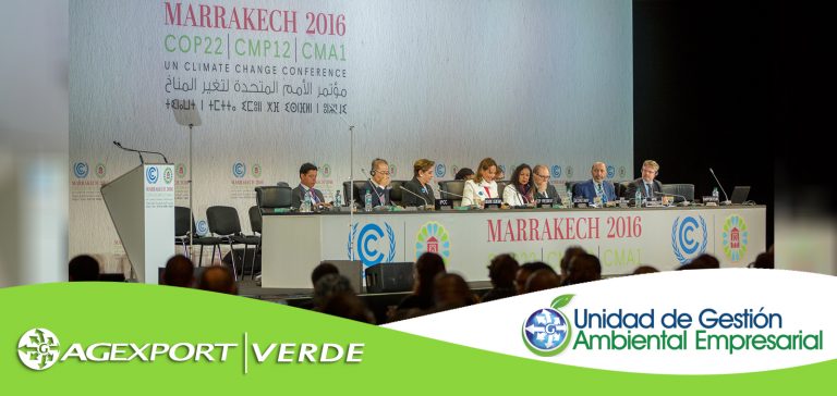 AGEXPORT participará en conferencia de la ONU sobre cambio climático