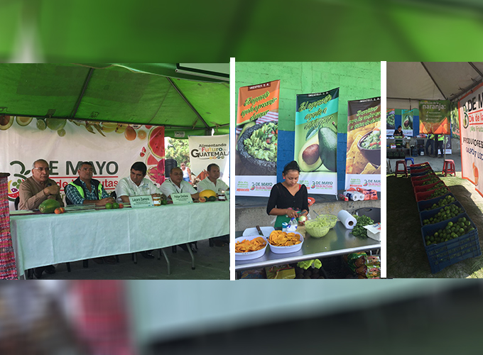 AGEXPORT se une a la celebración del Día de las Frutas