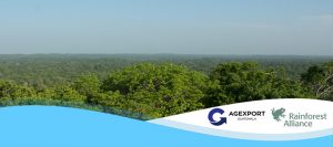 AGEXPORT honrado de compartir los 30 años de Rainforest Alliance