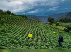 Medio Ambiente y la conexión del área rural con la naturaleza