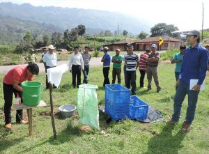 Productores de arvejas reciben certificación internacional