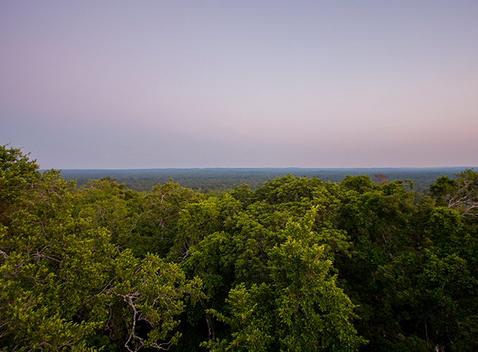 Concesiones forestales comunitarias de la Reserva de Biósfera Maya previenen incendios, afirma estudio