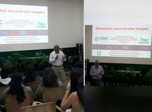 Red I+D+i promueve la producción de los “Mayan Superfoods”