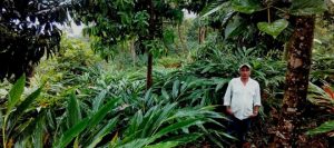 Sector de Cardamomo y 250 asociaciones rurales unidas para combatir la plaga del Thrips