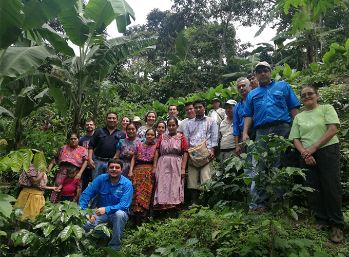 Organización ambiental conoce modelo de adaptación al cambio climático de productores de café