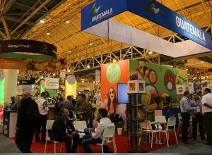 Por primera vez, guatemala llevó a PMA Fresh Summit: blueberry