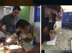 Productores de ornamentales, follajes y flores identifican estrategias de control de ácaros