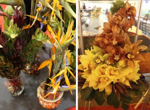 Proteas, aves del paraíso y flores de corte guatemaltecas se exhibieron en PMA Fresh Summit