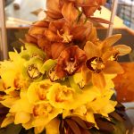 flores guatemaltecas, rosas de Guatemala,