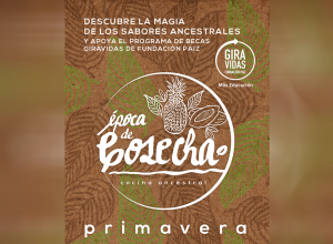 “Época de Cosecha” travesía de sabores con recetas basadas en los superfoods