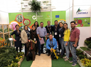 Plantas ornamentales, follajes y flores guatemaltecas cautivan el mercado europeo