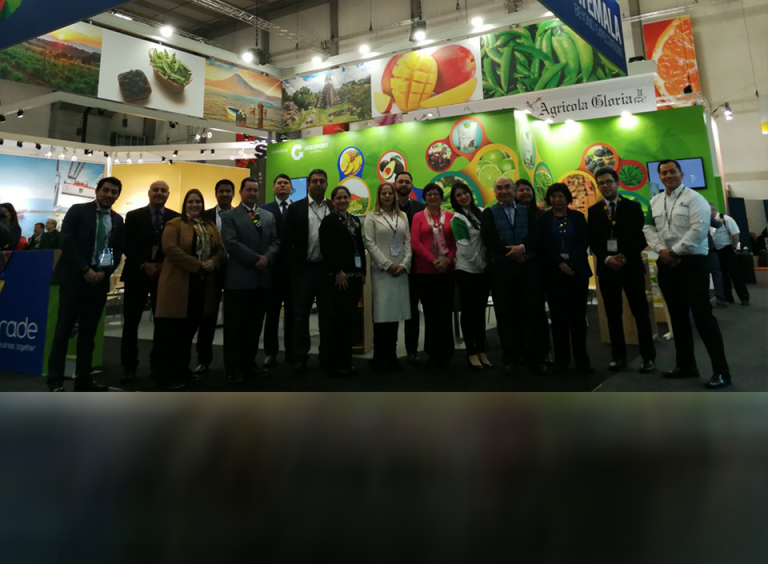 Guatemalan Fruits and Vegetables Present in Europe’s Largest Agricultural Fair, Fruit Logistica