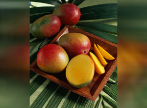 National Mango Board convoca para designación de productor extranjero