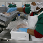 pesca, tilapia, camarones guatemaltecos, Simposio de Acuicultura,