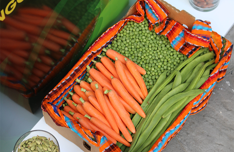 Agricultura.