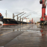 Empresa Portuaria Santo Tomás de Castilla, Gerencia de competitividad, exportaciones guatemaltecas vía marítima, puerto Santo Tomás,