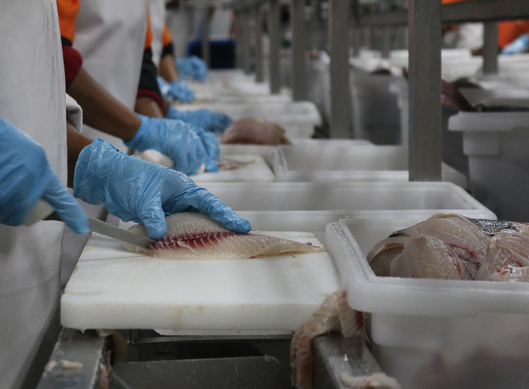 Guatemala increased exports of fishing and aquaculture products