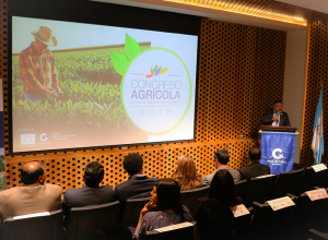 desarrollo oferta agrícola de Guatemala