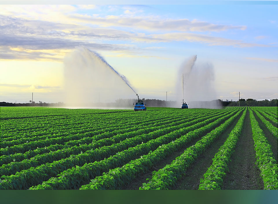 Congreso Agrícola busca diversificar la oferta agrícola
