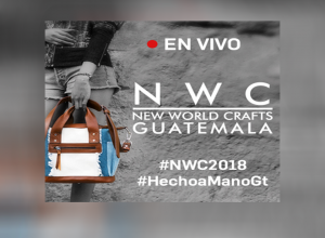 Siga detalle a detalle la 11ava. edición de New World Crafts