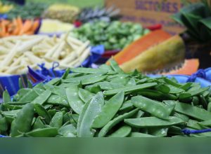 empleos en Guatemala del sector agrícola