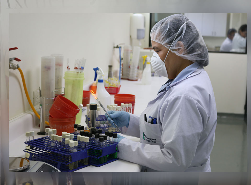 laboratorios de exportación