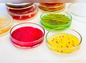 análisis ambiental de los laboratorios