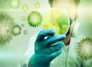 ¿Pesticidas en los productos de exportación?