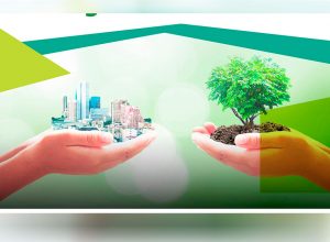 pymes competitivas con la certificación de carbono neutral