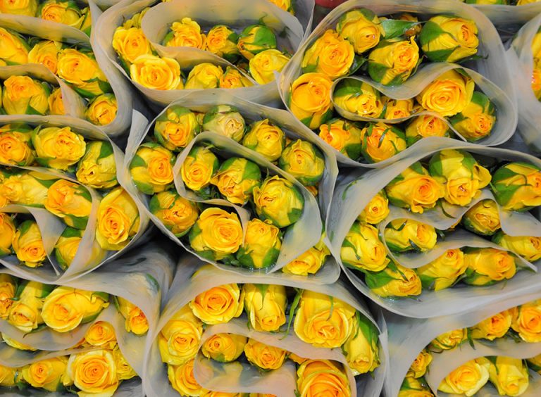 Guatemala llena de flores tiendas de Estados Unidos, Centroamérica y Europa