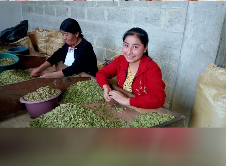 AGEXPORT prepara metodología para el empoderamiento de las mujeres rurales a través de las cadenas de exportación