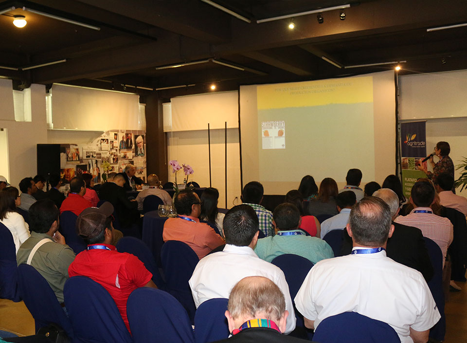 conferencias para productores