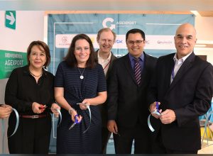 exportación de servicios