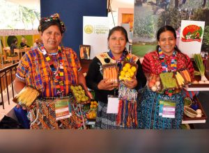 mujeres guatemaltecas